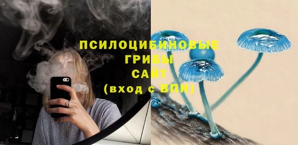 крисы Горняк