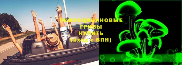 крисы Горняк
