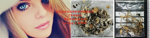 COCAINE Горно-Алтайск