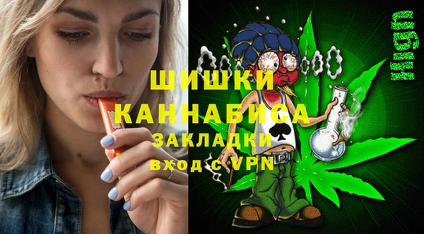 крисы Горняк