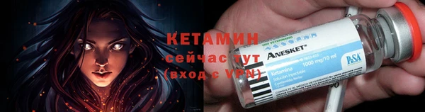 крисы Горняк