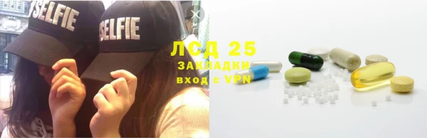 крисы Горняк