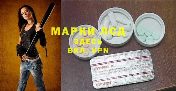 крисы Горняк