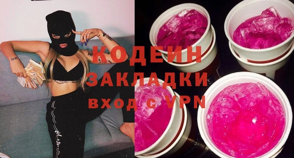 крисы Горняк