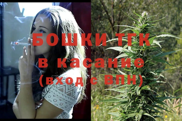дмт Горнозаводск