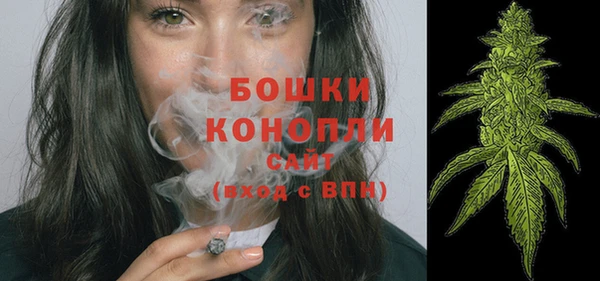 дмт Горнозаводск
