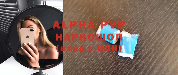 крисы Горняк
